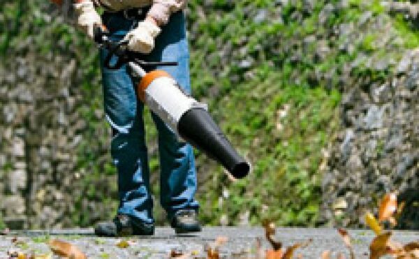 SOPLADOR BG-KM - Imagen 2